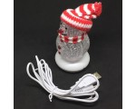 Новогодний сувенир "Ледяной снеговик в шапочке и шарфике" USB, цвет красный