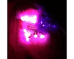 Новогодняя гирлянда \"Пурпурное настроение\" NY5018G светодиодная 7,4 м, 220Вт