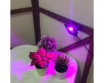 Светодиодный фитопрожектор для растений Espada Fito pro EP-1065 90-240V IP65 для выращивания рассады и досветки растений / Led фитосветильник для гидропоники, аквариумных растений