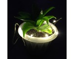 Светодиодная LED Лента-гирлянда декоративная, теплый белый, 0,03W, Espada E-EWW10LED1m