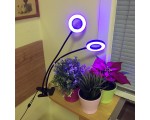 Светодиодный фитосветильник Espada USB Fito E-EUS2 5V, круглый для выращивания рассады и досветки растений / Led фитосветильник для гидропоники, аквариумных растений