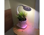 Универсальный  светильник: настольная лампа/ садовый комплект / фитосветильник/ вентилятор, Avatar BOX-051, цвет розовый