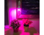 Светодиодная лампа для растений E27 LED-A60-9W/SP/E27/CL ALM01WH Uniel