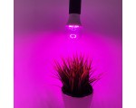 Светодиодная фитолампа для растений Е27 Espada Fito E-A60-14-7, 7W 100-240V / Led лампа для гидропоники, аквариумных растений, выращивания рассады /