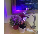 Светодиодный фитосветильник Espada E-EPS3 USB fito, круглый, 3 фитолампы для выращивания рассады и досветки растений, фитосветильник для гидропоники, аквариумных растений