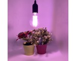 Светодиодная фитолампа для растений E27 Espada Fito E-E27F-10, Филаментная / Led лампа для гидропоники, аквариумных растений, выращивания рассады /