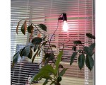 Светодиодный фитосветильник LED fito Espada E-CAP27F на присоске с выключателем, 10W для выращивания рассады и досветки растений