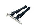 Планка в корпус USB C 3.2 Gen2x2 2 порта, EbrLow22, 20Gbps низкопрофильная