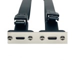 Планка в корпус USB C 3.2 Gen2x2 2 порта, EbrLow22, 20Gbps низкопрофильная