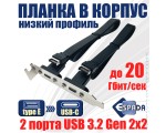 Планка в корпус USB C 3.2 Gen2x2 2 порта, EbrLow22, 20Gbps низкопрофильная