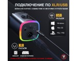 Динамический микрофон PD100XS