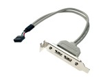 Монтажная планка на заднюю панель в корпус компьютера с разъемом USB 2.0 - 2 порта низкопрофильная Espada модель: EBRT-2USB2LOW
