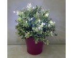Светодиодная LED Лента-гирлянда декоративная, холодный белый, 0,06W, Espada E-EW20LED2m